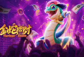 掌中彩welcome桌面版客户端