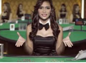 掌中彩welcome2024最新版